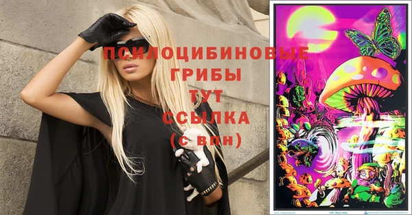 сатива Липки
