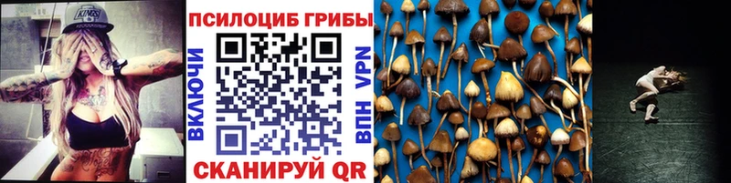 Галлюциногенные грибы Magic Shrooms Сусуман
