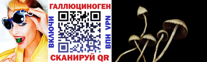 купить закладку  Сусуман  Псилоцибиновые грибы прущие грибы 
