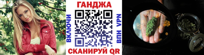 сколько стоит Сусуман OMG как зайти Канабис гибрид